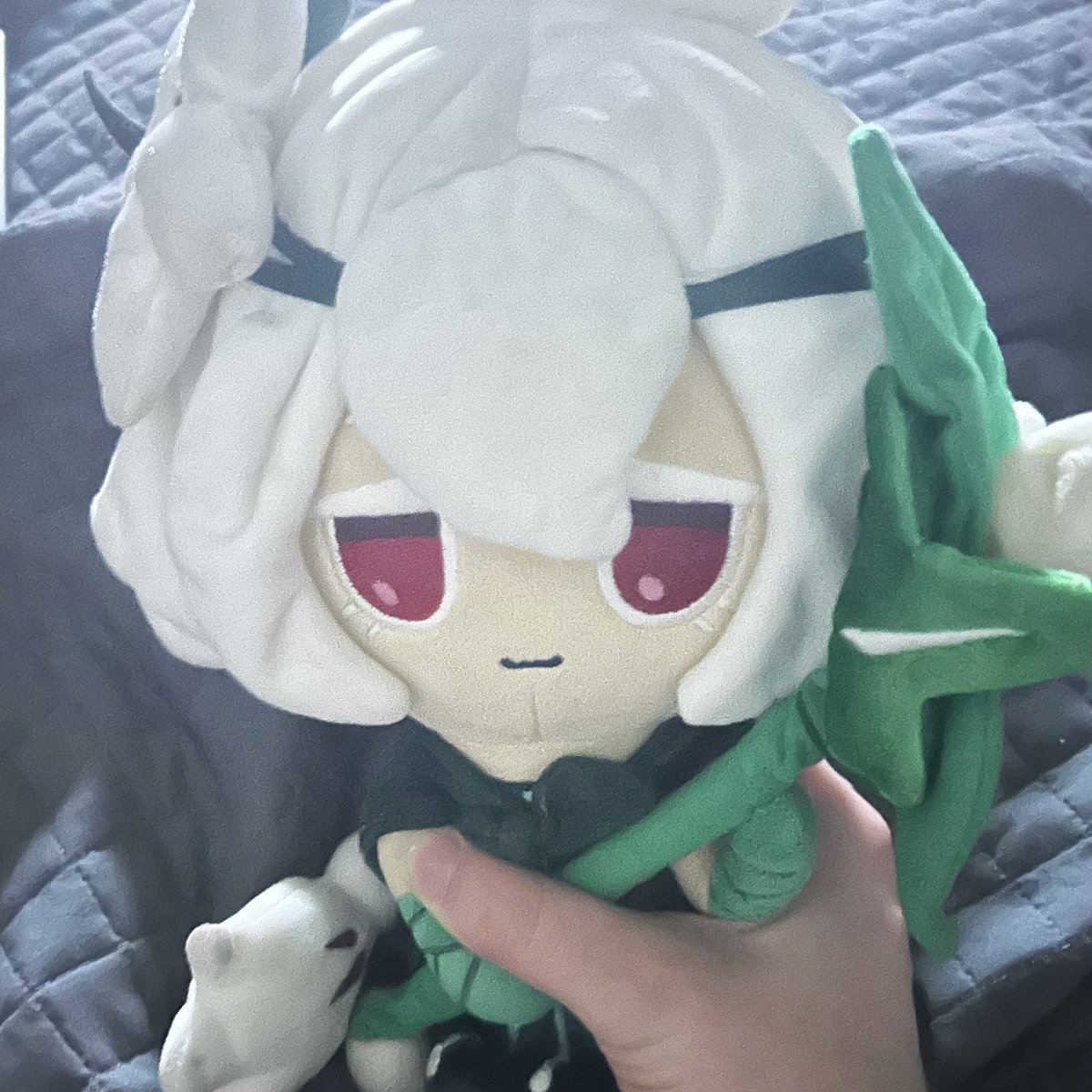 White Lily Cookie ❀ tweet media