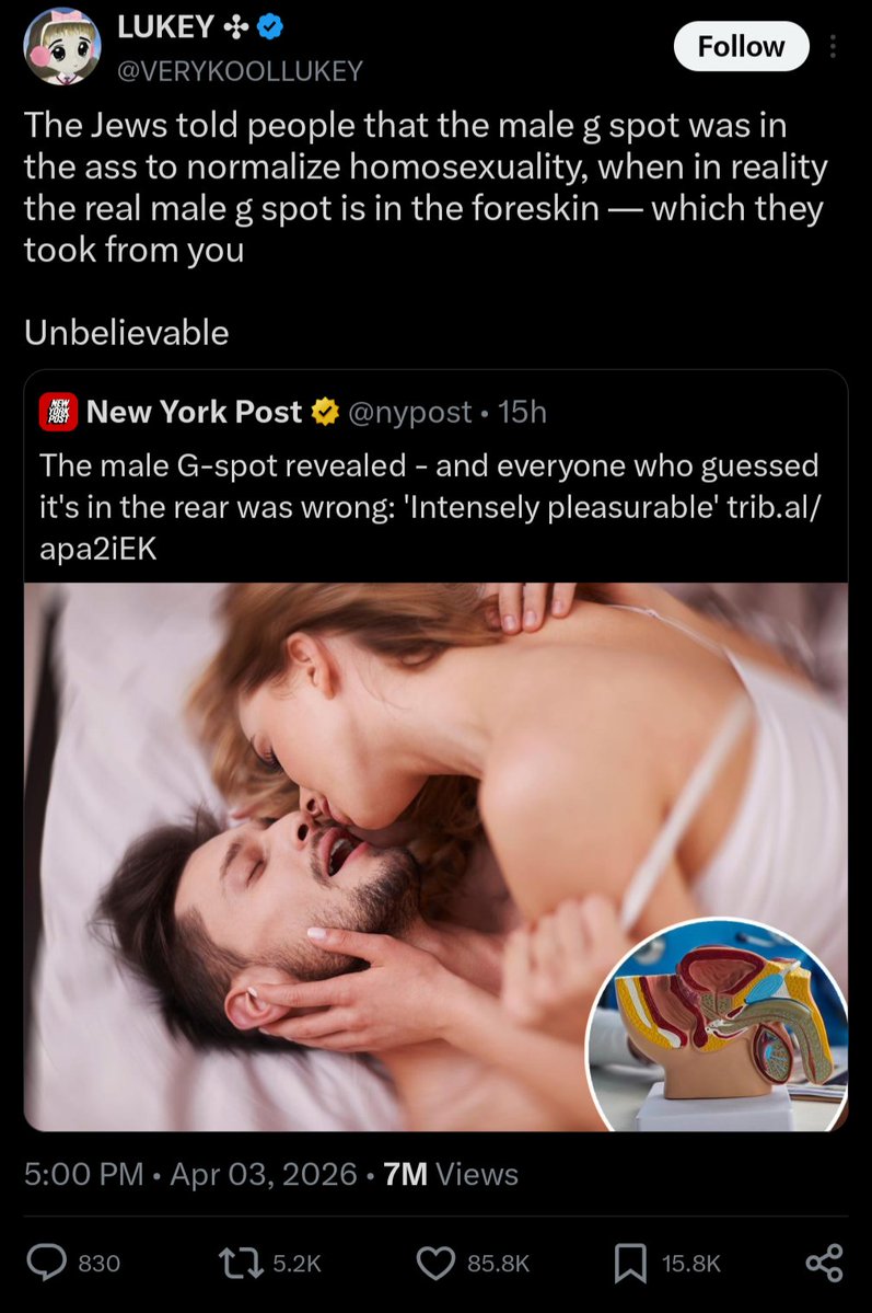 Александр Елесев | Доброум TV tweet media