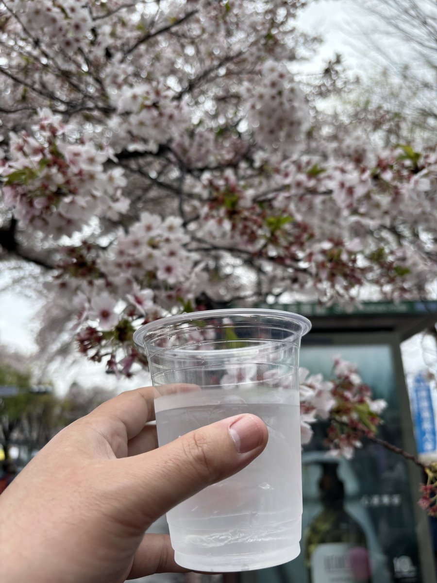 永原 章 tweet media