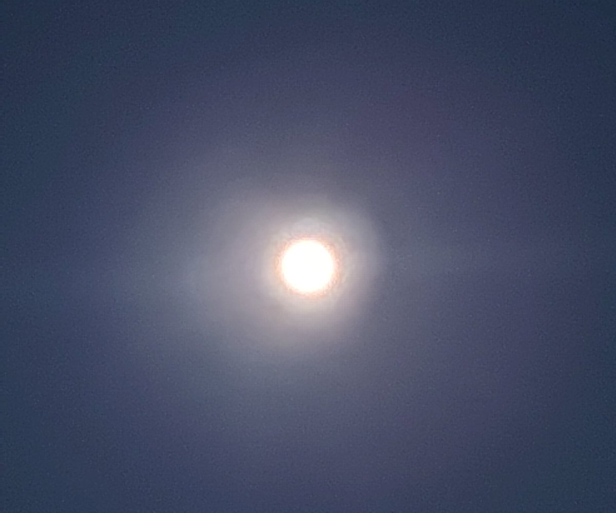 ４月２日(木)・３日(金)
ストレッチ・マッサージ(強化)・ブレス・筋トレ(スクワット・ダンベル・プランク)・ヨガ　(金→ダウン💦)

撮影はこれが限界でしたが😂

２日は満月がとても綺麗で、思わず見惚れちゃいました🌕️💕

ピンクムーン💖名前も可愛い✨

みんなの&amp;私の願いが叶うことを🍀