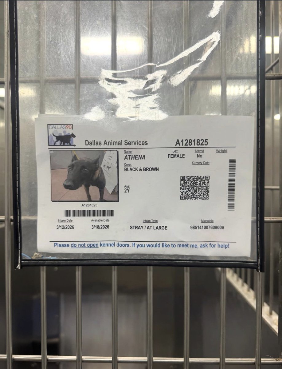 Ellis McPickle tweet media