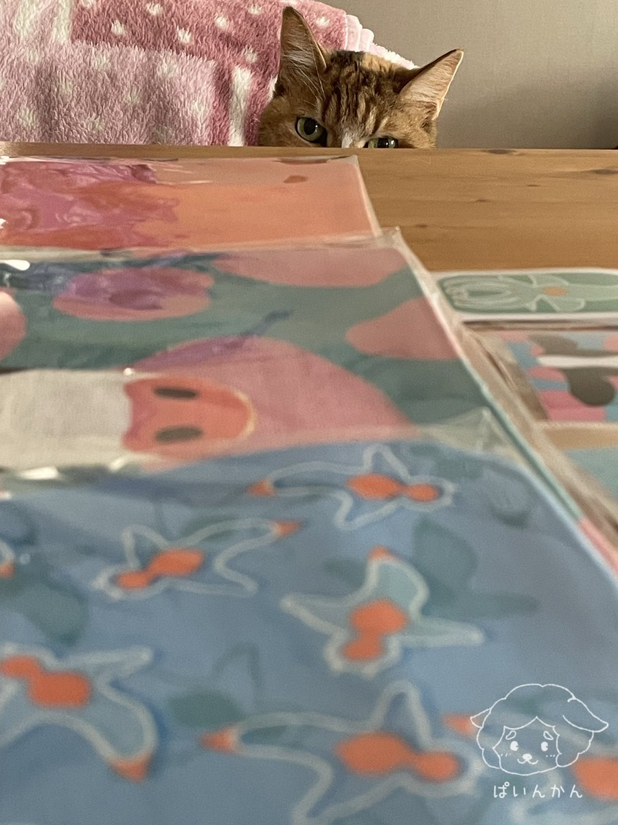 毛ガニは食べたいという気持ちだけで描きました😋
#ハンカチ・ステッカー展2026