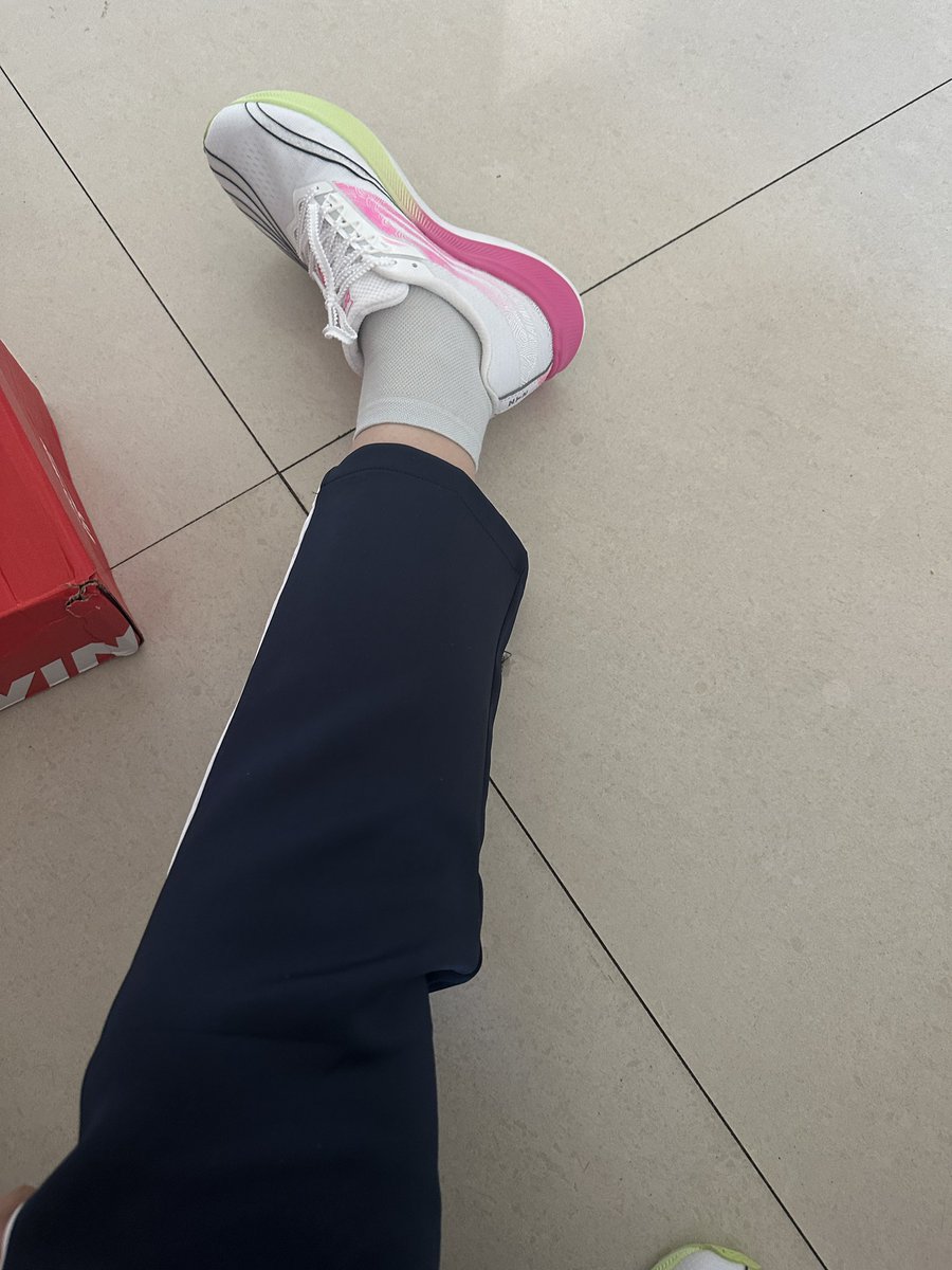 左衞東 tweet media