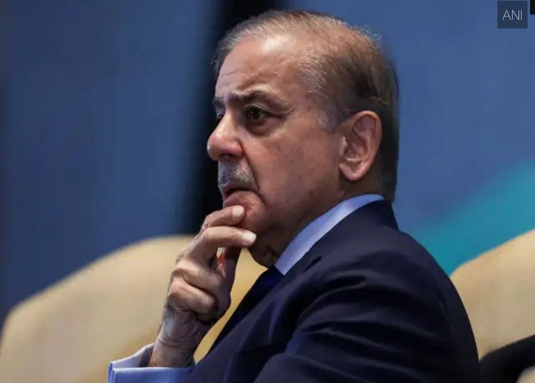 ऋshi™🇮🇳 tweet media