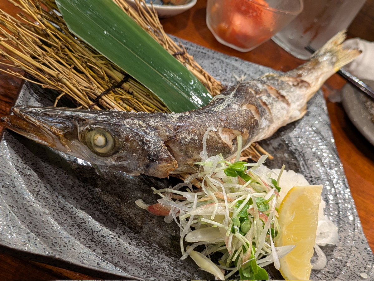 ranchi🍶日本酒とダックスと🐶 tweet media