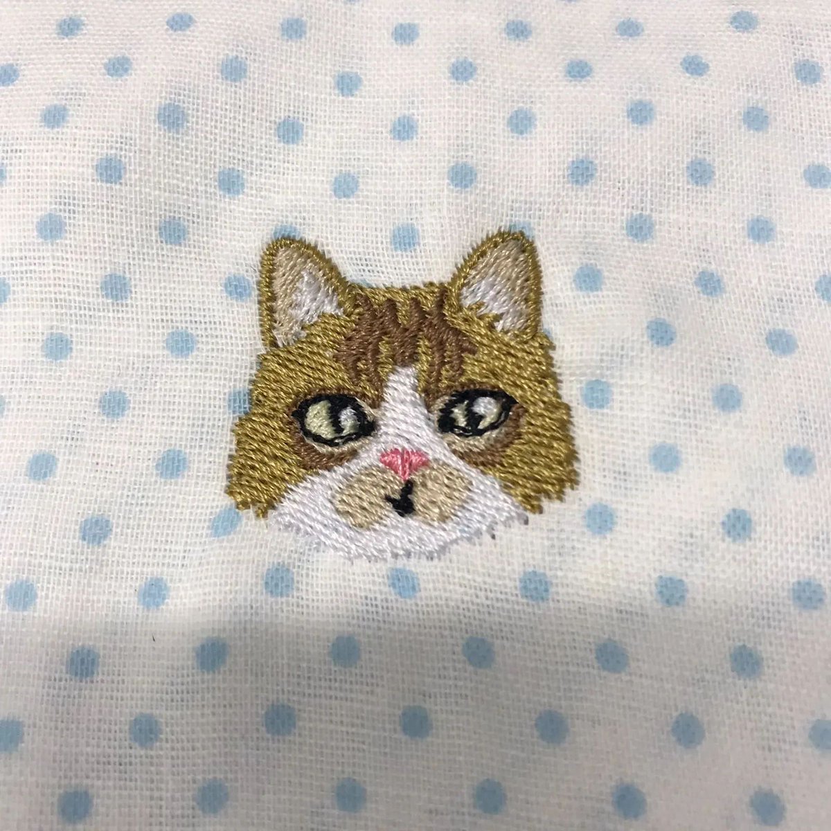 ココリティ@ひまわり tweet media