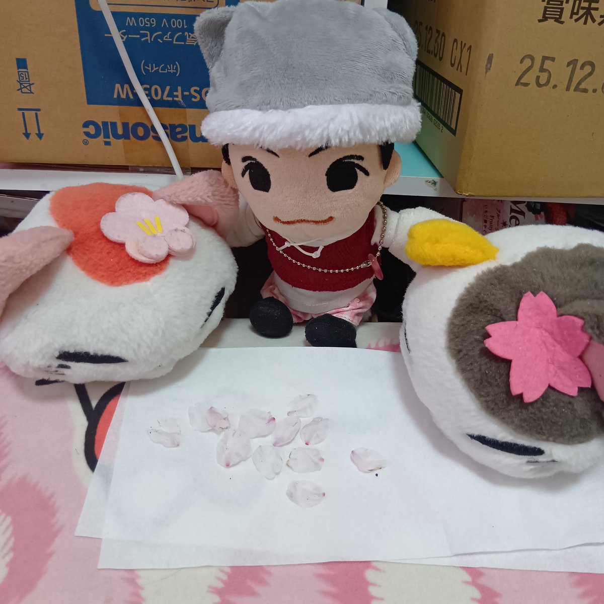 ルビー tweet media