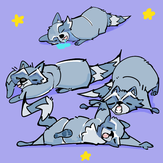 Morgy 🦝Raccoon tweet media