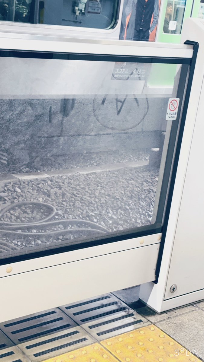 ｼｬｲｵｼﾞの流歌@生きてるよ👍 tweet media