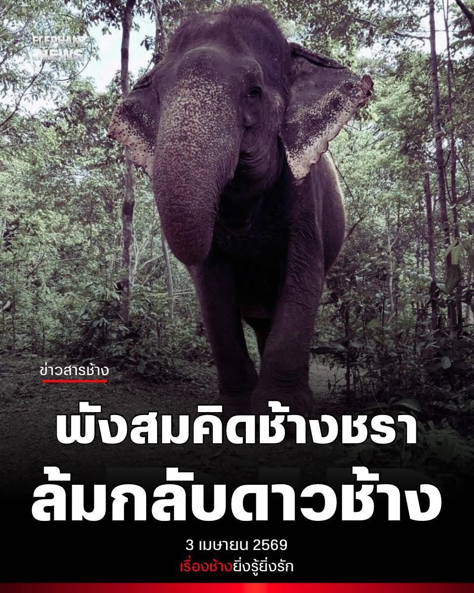 GolfyTT☕ tweet media