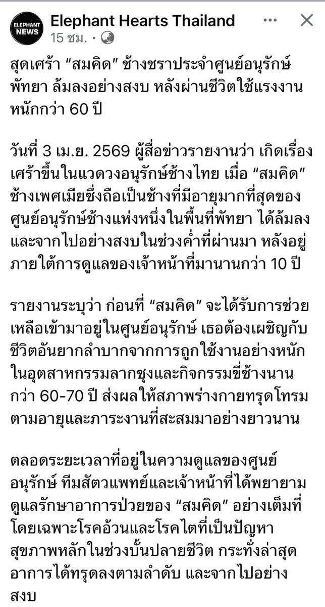 GolfyTT☕ tweet media