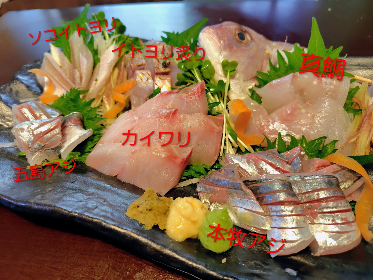 まみ（へたれ釣りオバサン） tweet media