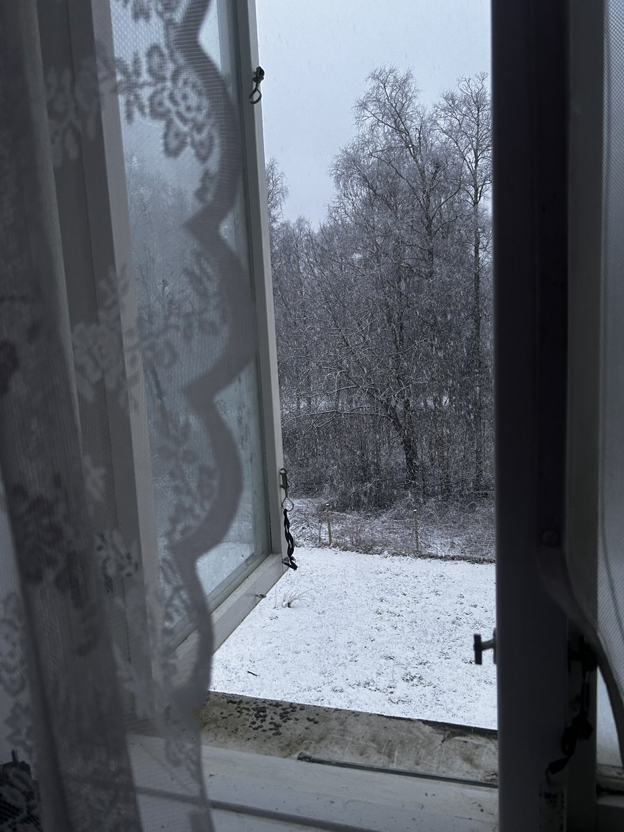 louise ⋆.𐙚 ̊ tweet media