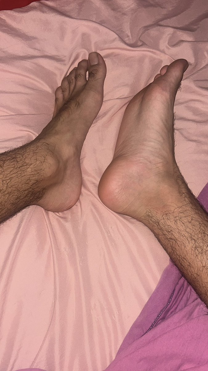 DOM MASTER $ tweet media