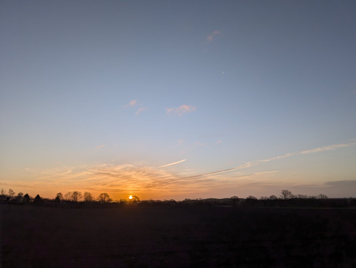 Sternenlöwin tweet media