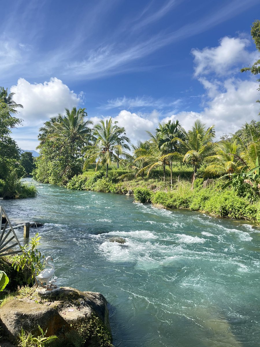 sasa 💭 tweet media