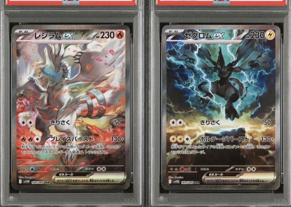 お肉(209) tweet media