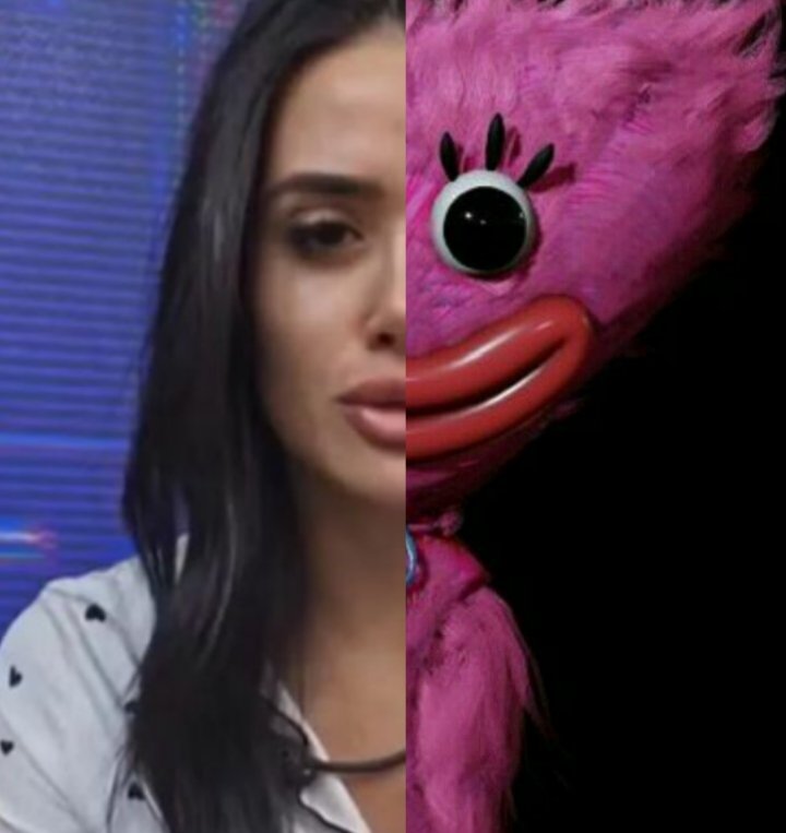 LucasBR S F tweet media