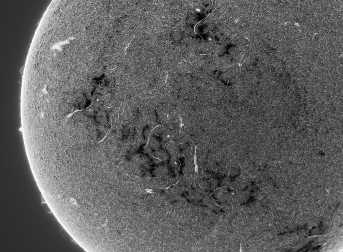 Supeng Liu tweet media