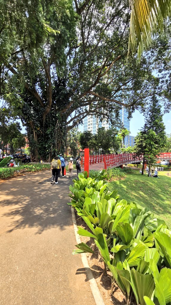 W i k y d e w i tweet media