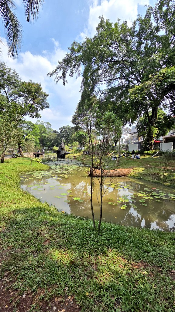 W i k y d e w i tweet media