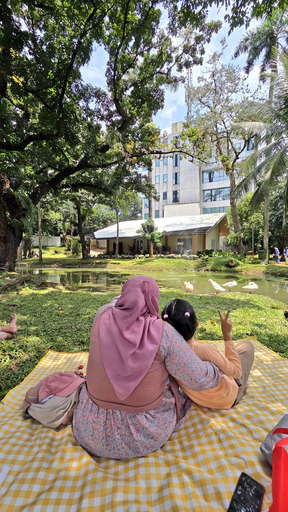 W i k y d e w i tweet media