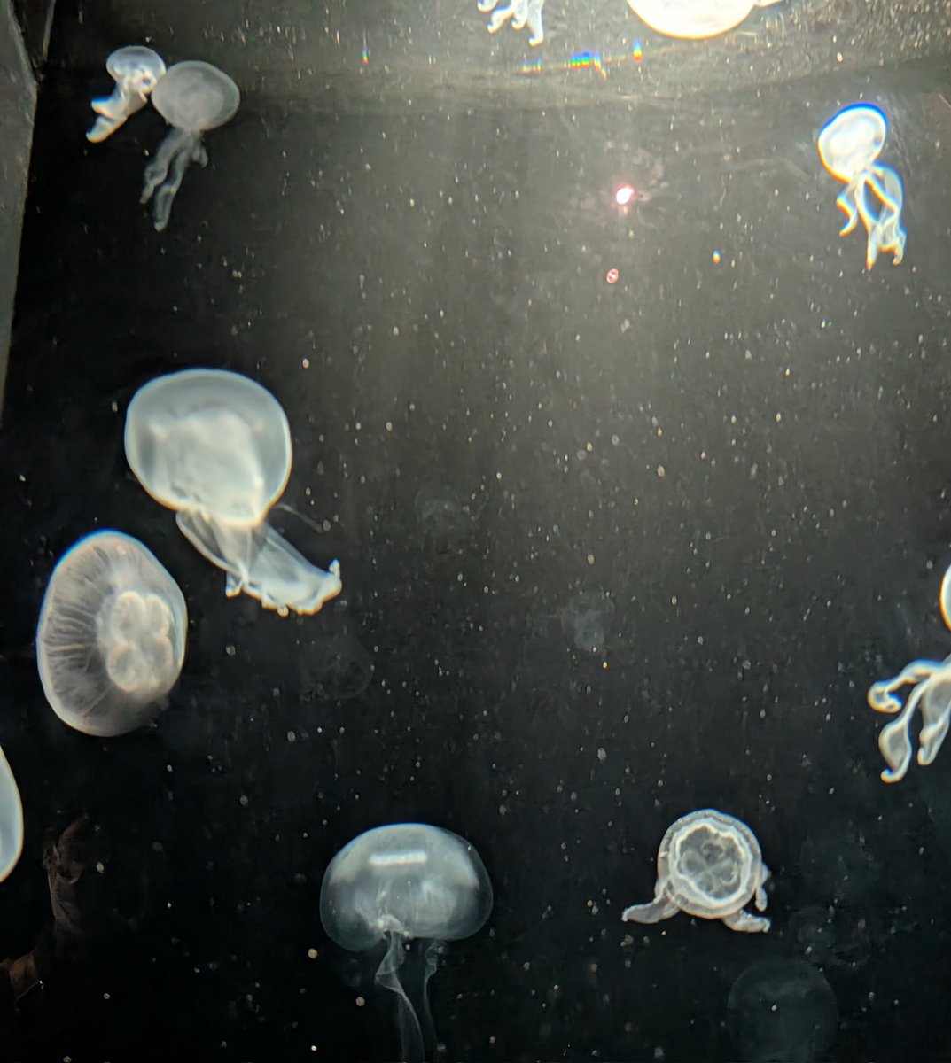 なー。 tweet media