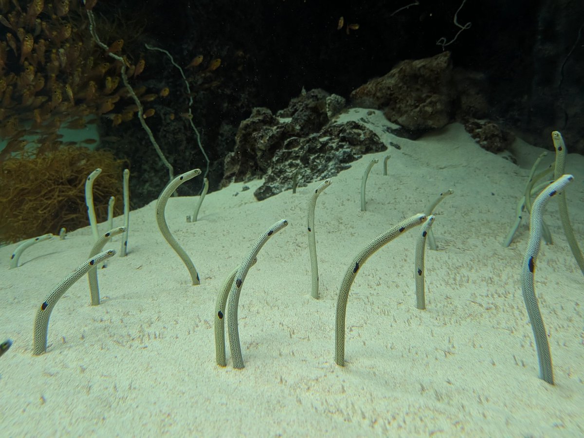 なー。 tweet media