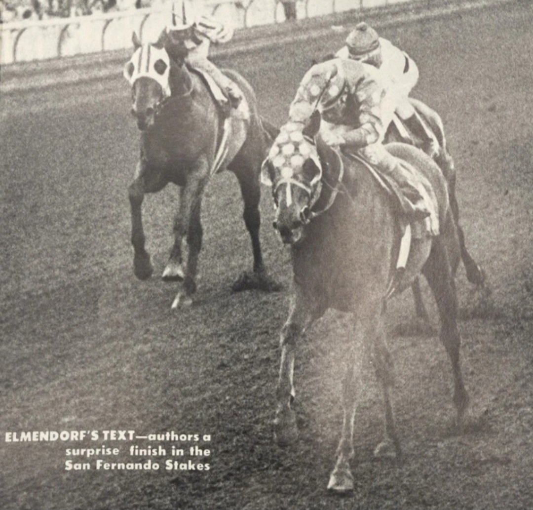 HORSERACING1002's tweet image. TEXT 🇺🇸1974
(SPEAK JOHN - SKY GLORY BY GUN SHOT)
#Text
B/O Elmendorf Farm (KY) Mar 23, 1974.
T/ Vincent Clyne.
48-10-7-10--$765,548
Del Mar H G3, Santa Catalina S, Secretariat S G2, Argonaut H G2, San Fernando S G2, Armory L. Haskell H G1. Citation H G3.
2nd Arch Ward S, Los