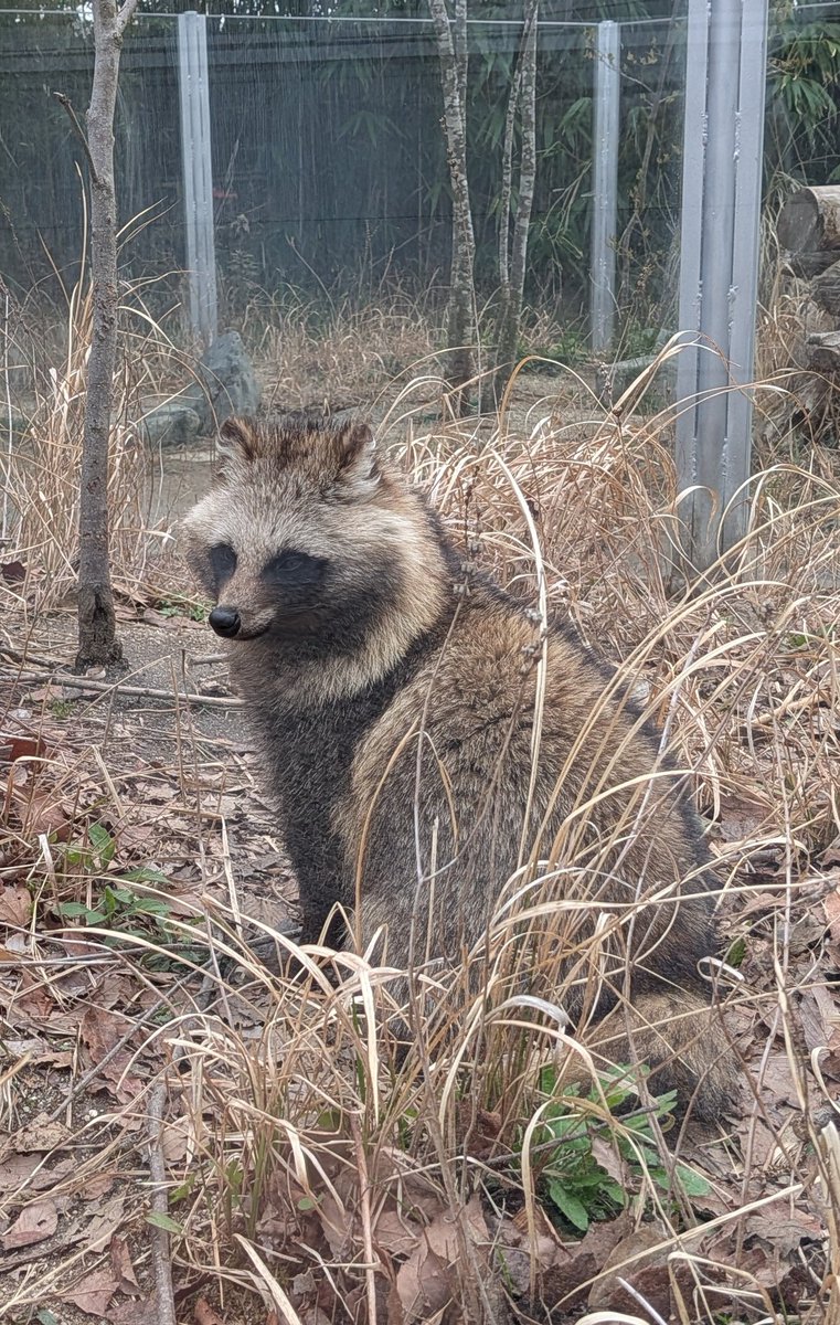 なー。 tweet media