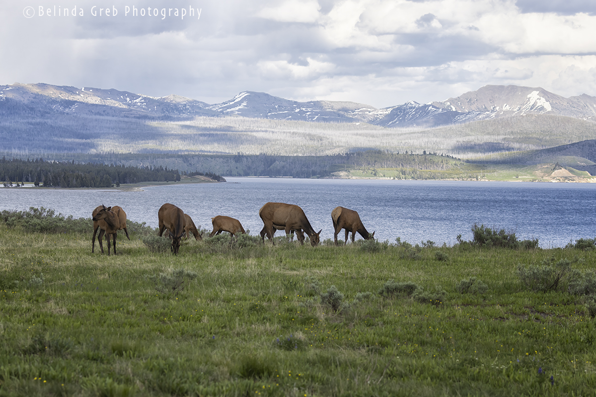 Belinda Greb tweet media