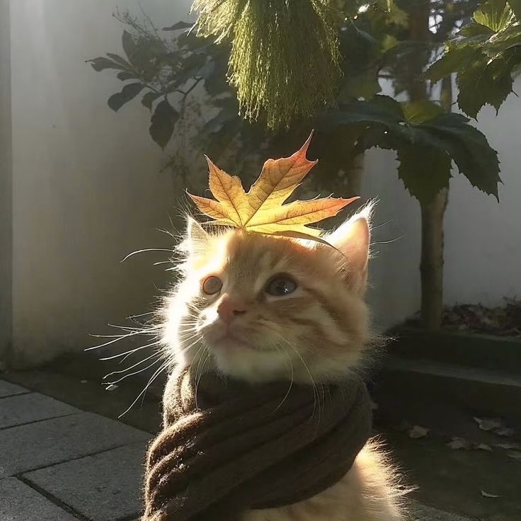 𝑎𝑒𝑠𝑡ℎ𝑒𝑡𝑖𝑐 𝑎𝑟𝑡 tweet media