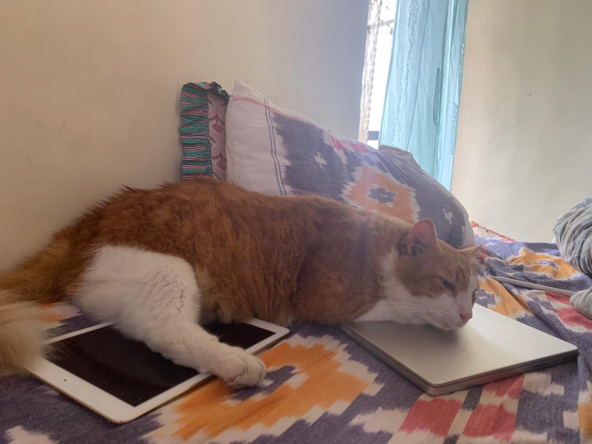 Aarushi Jain tweet media