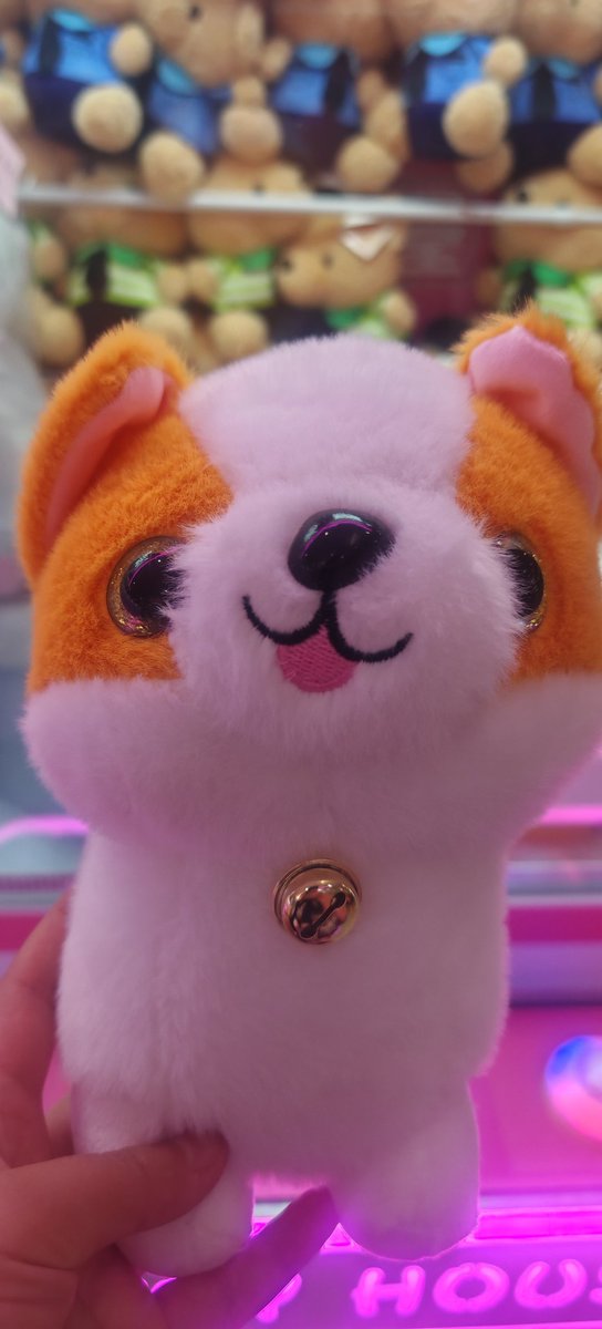 err_996 (@996err) on Twitter photo 