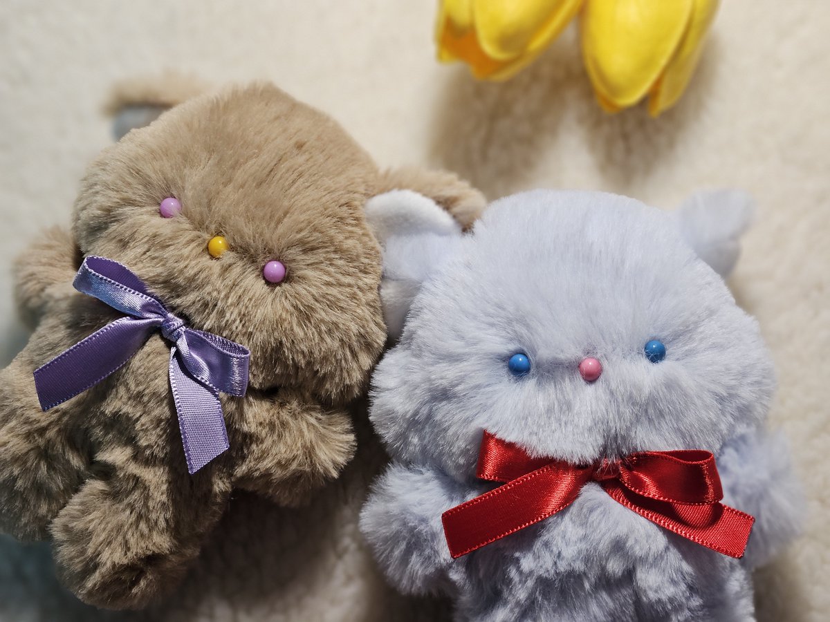 🍀⚝소란한 다락방⚝🍀 tweet media