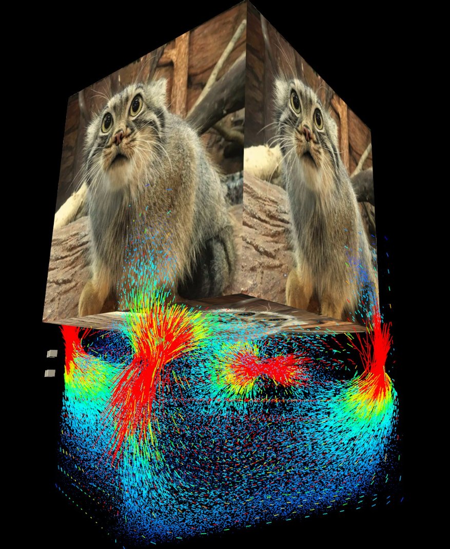 cappymoment tweet media