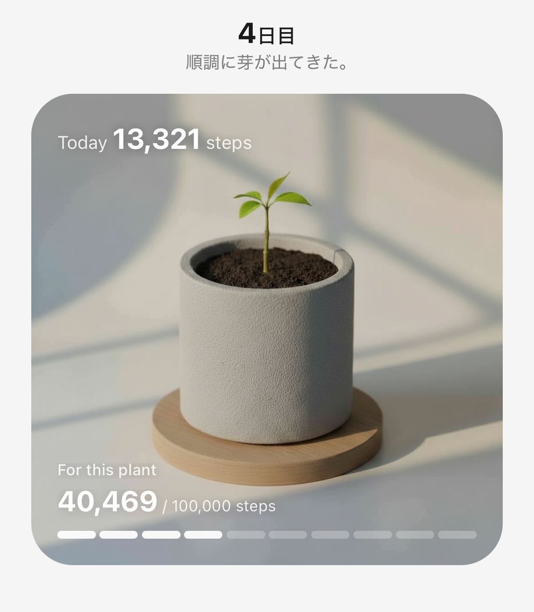 ぽりとん-Honolulugirl- tweet media