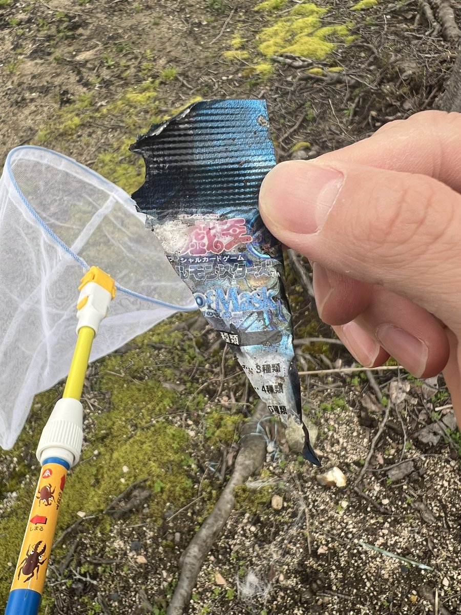 たれみみ tweet media