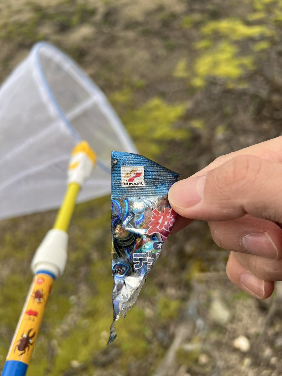 たれみみ tweet media