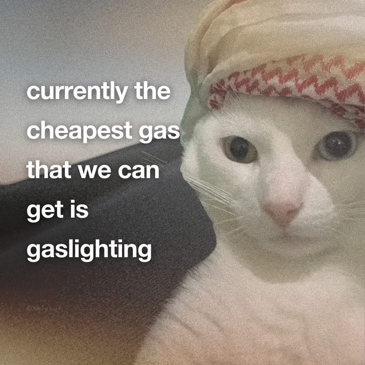 Agent Pink tweet media