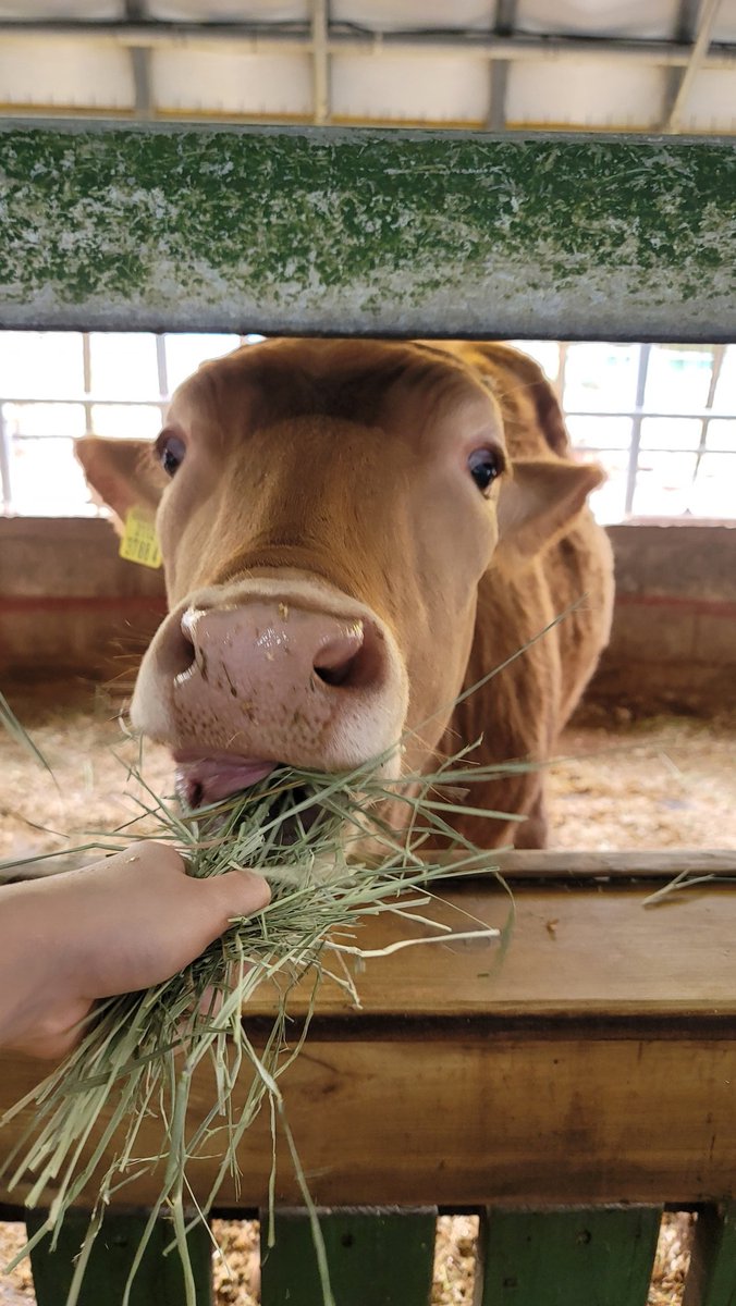 Luterre🔞 tweet media