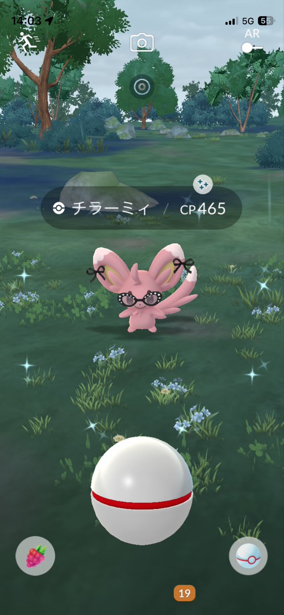 Shadow@ポケモンGO tweet media