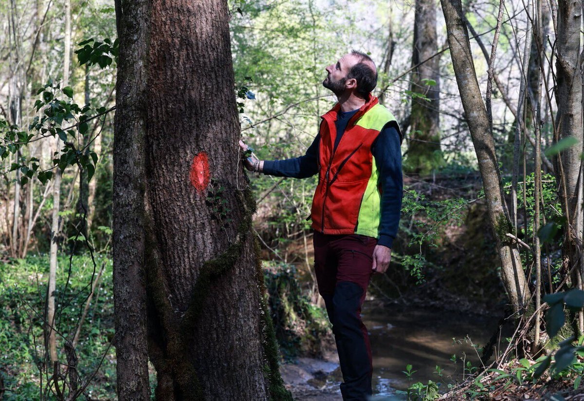 L'Est Républicain Belfort tweet media