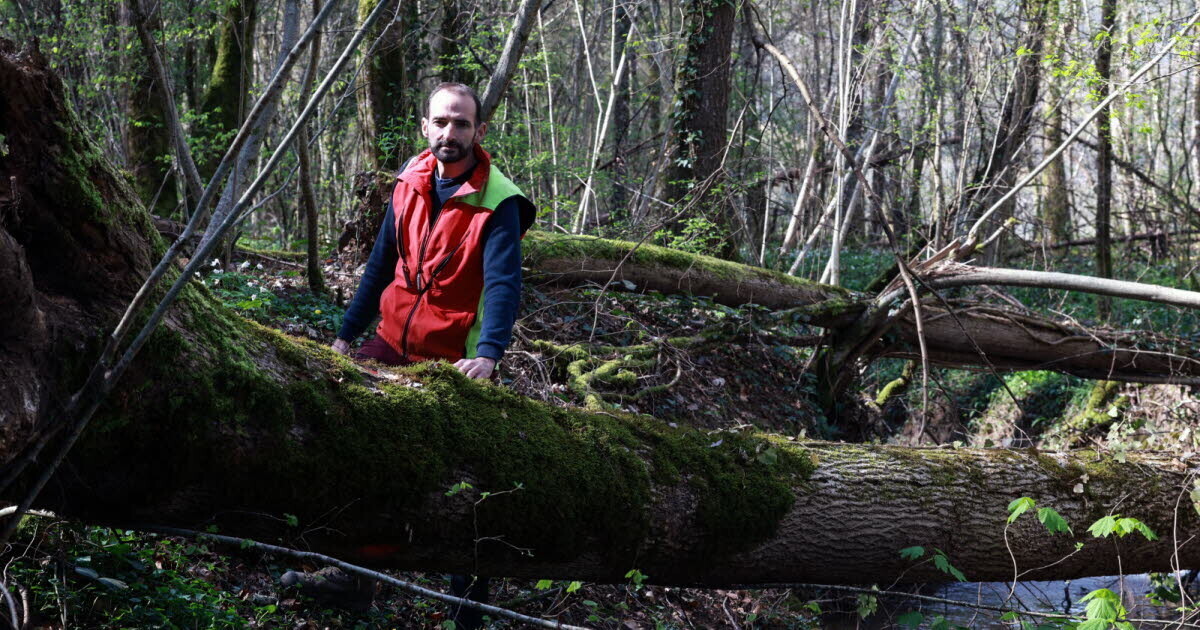 LEst Républicain Montbéliard tweet media