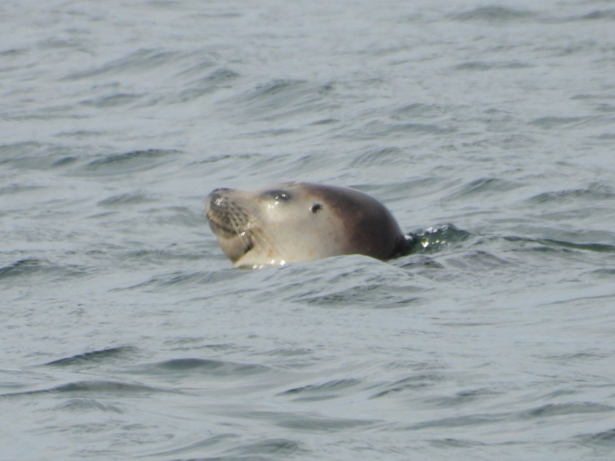 オホーツク･ガリンコタワー株式会社 tweet media