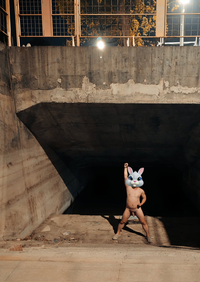 朝云引 tweet media