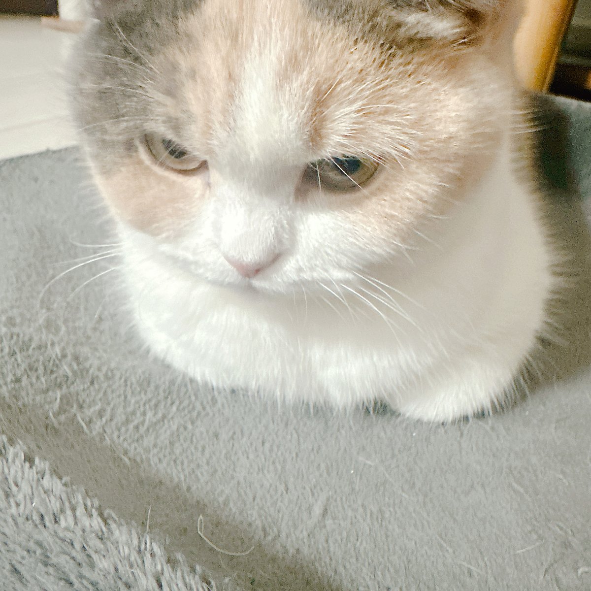 リエム tweet media