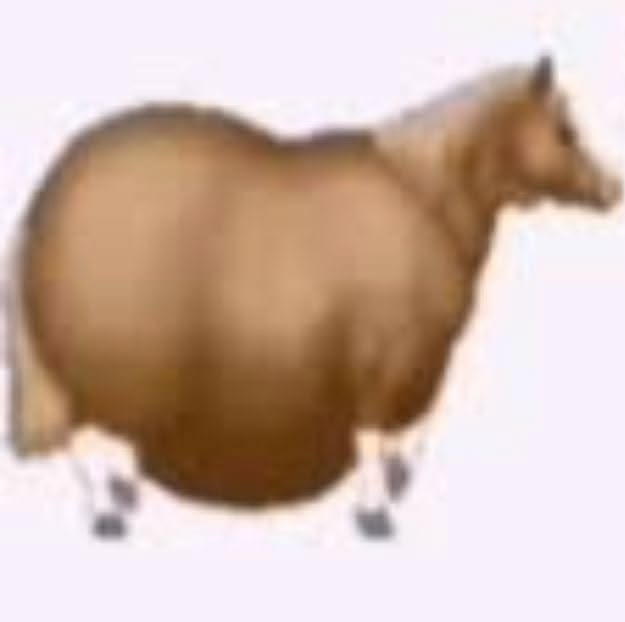 𝗩𝗮𝗹 𔓘 :) 3/5 kg tweet media