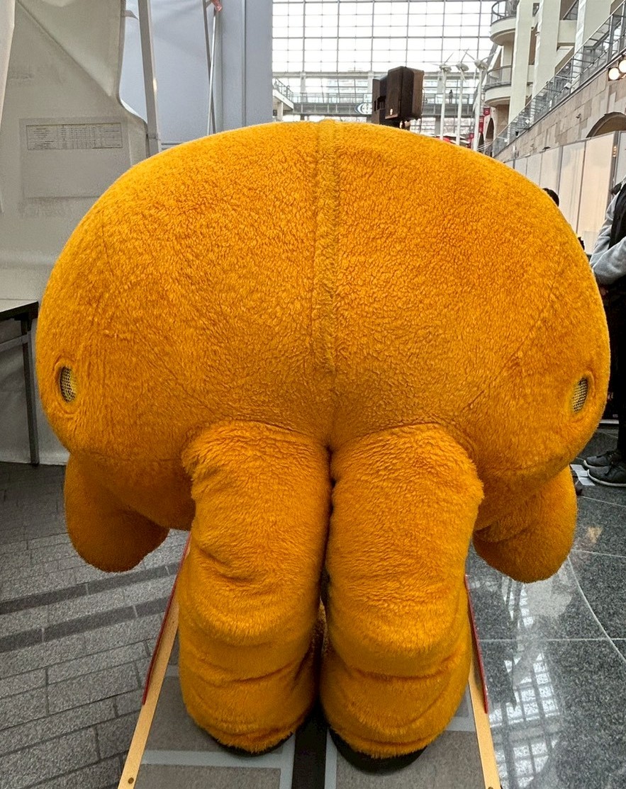 HTB北海道テレビ tweet media