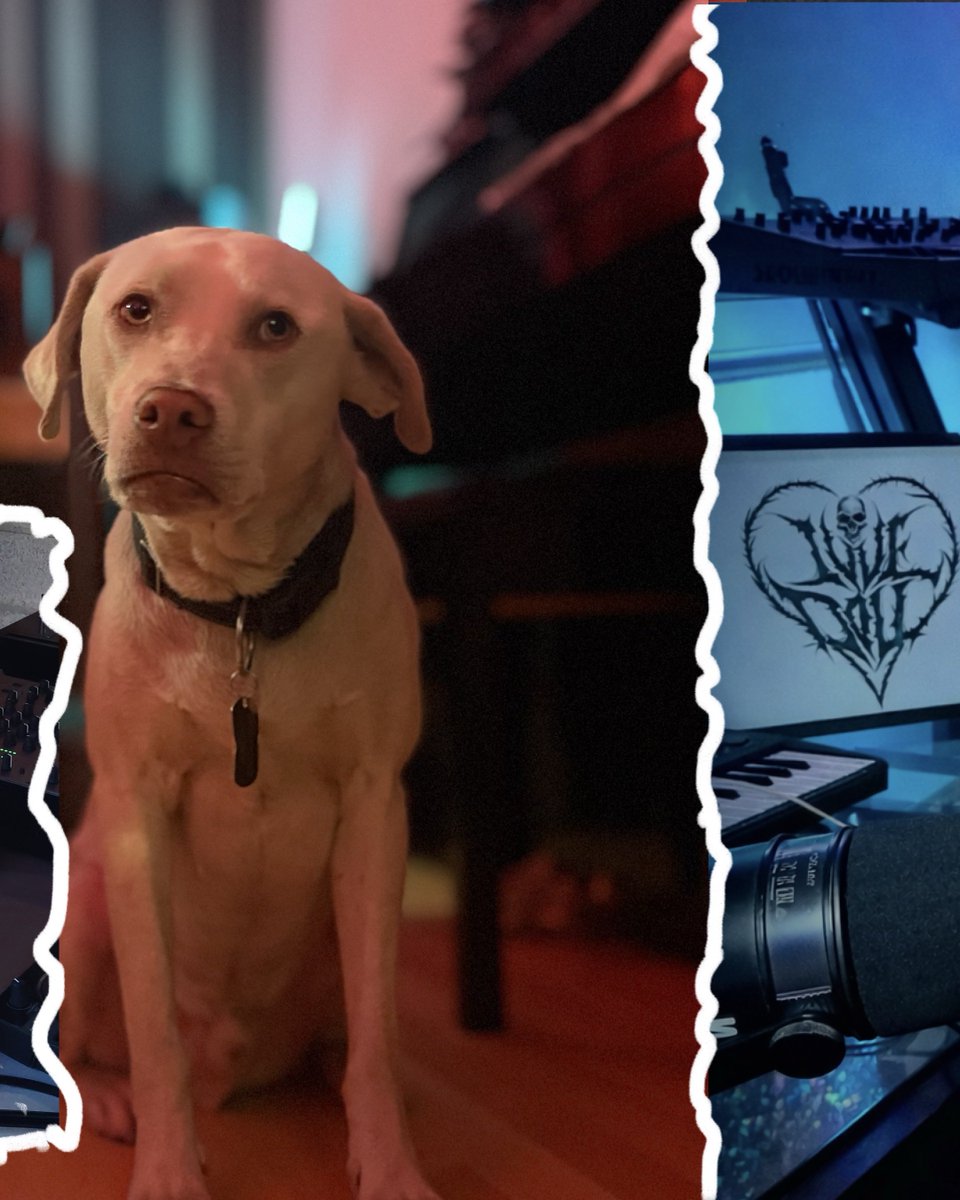 🎙️E-vonne ✨ tweet media